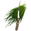 fresch cut wheatgrass icon
